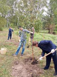 image (8)